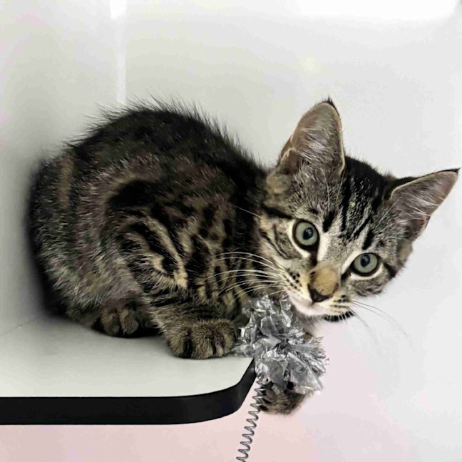 Photo of Colin Stk014589