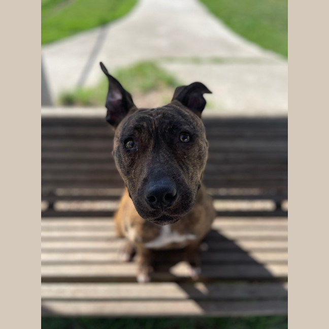 Photo of Mollie
