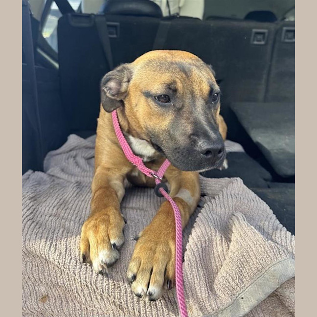 Photo of Miss. Honey