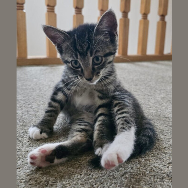 Photo of Jeffrey