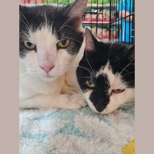 Photo of Archie & Lisa