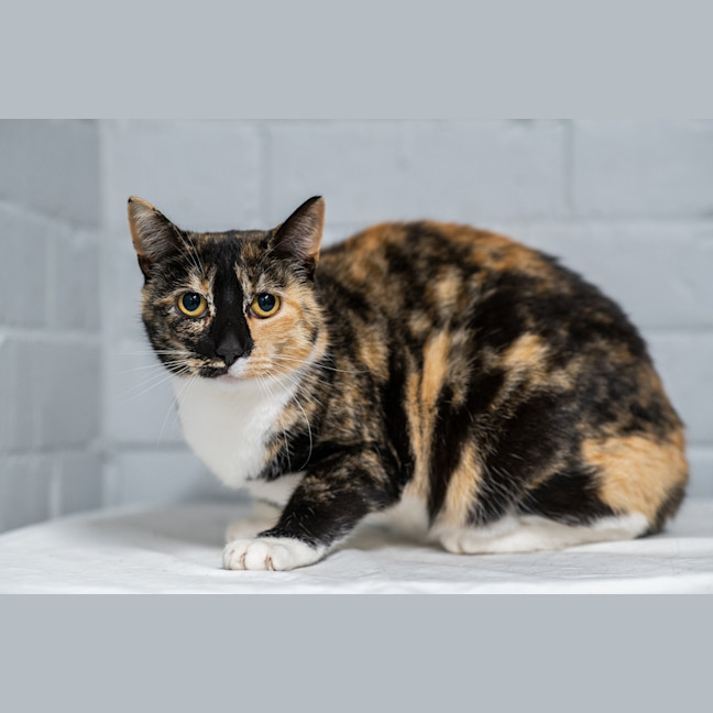 Photo of Bonnie