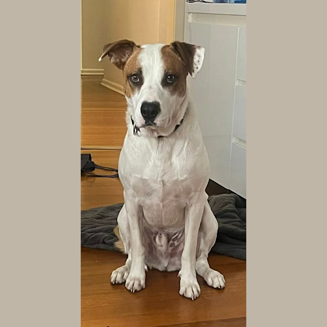 Photo of Beanie