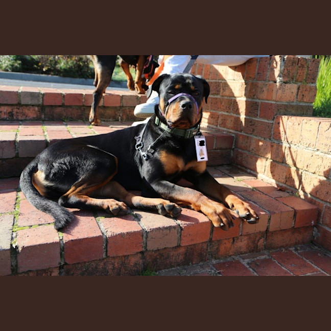 Photo of Lucky Newhaven