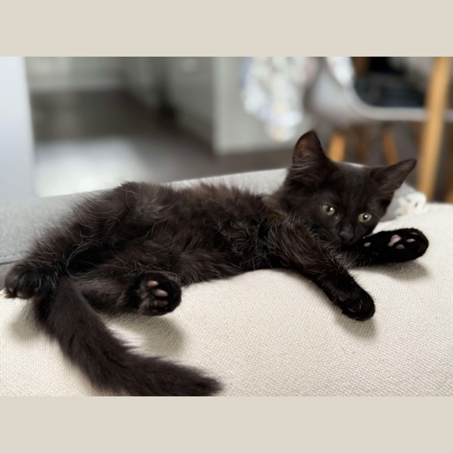 Photo of Adam And Alba   Beautifully Bonded ❤️