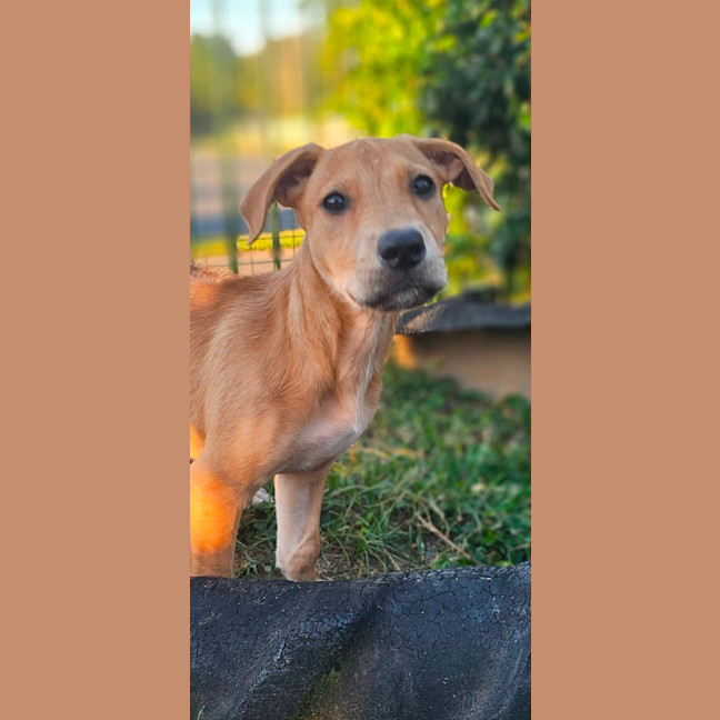 Photo of Statler