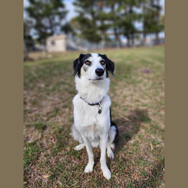 Photo of 🦋 Coco 6047 🦋