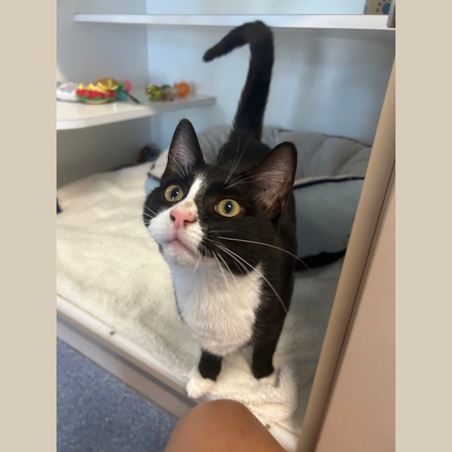 Photo of Nikki