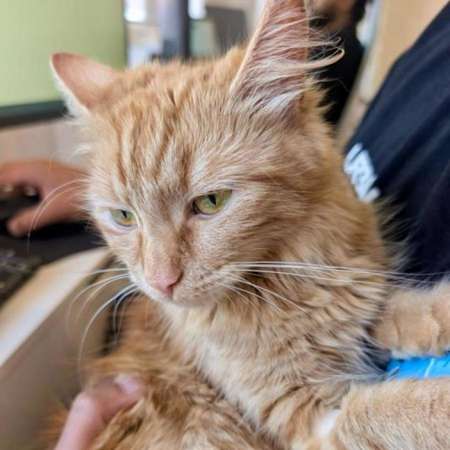 Photo of River & Genevieve