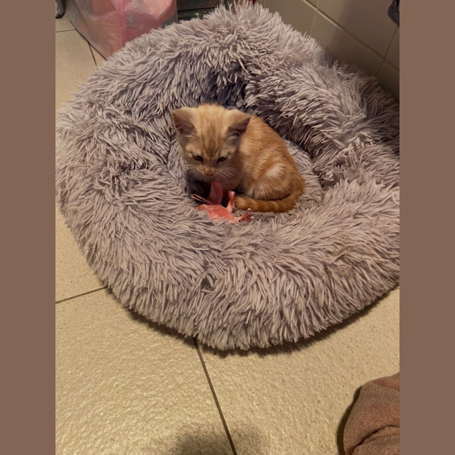 Photo of Monty