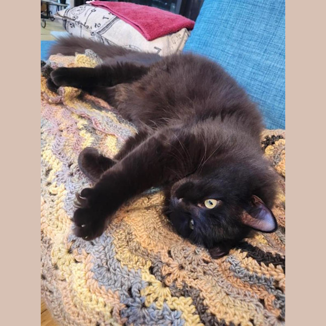 Photo of Pepper