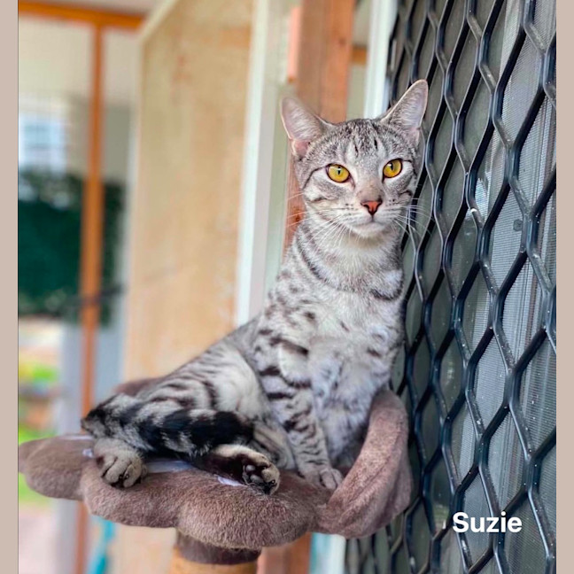 Photo of Suzie