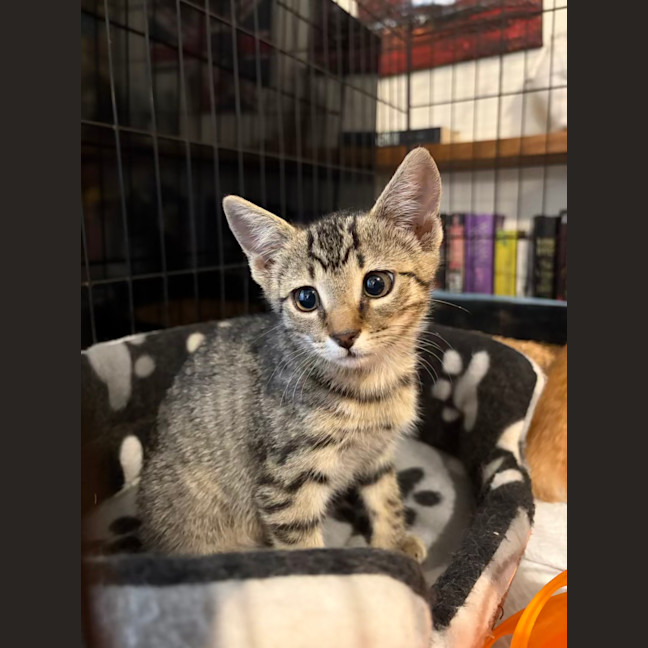 Photo of Aero