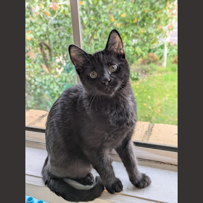 Photo of Tiny