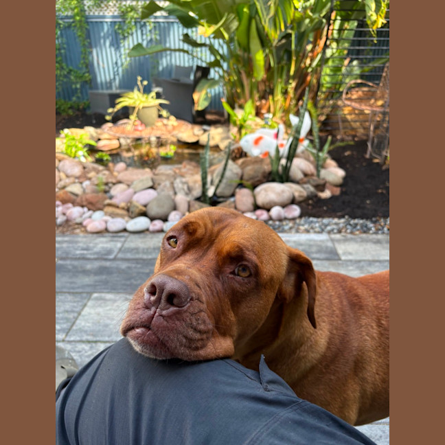 Photo of Tia 