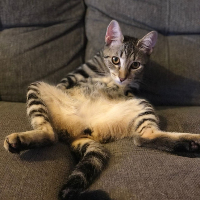 Photo of Skip