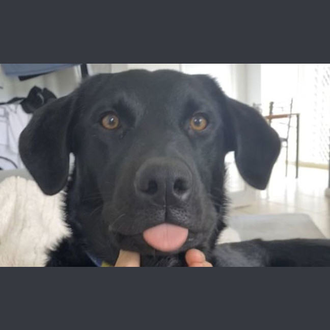 Photo of Ash