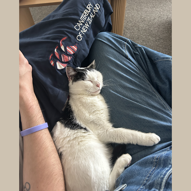 Photo of Lilly