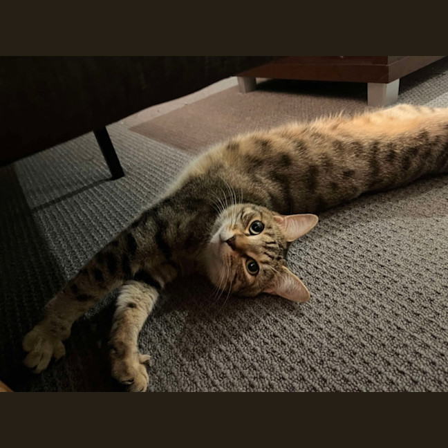 Photo of Fred & Barney