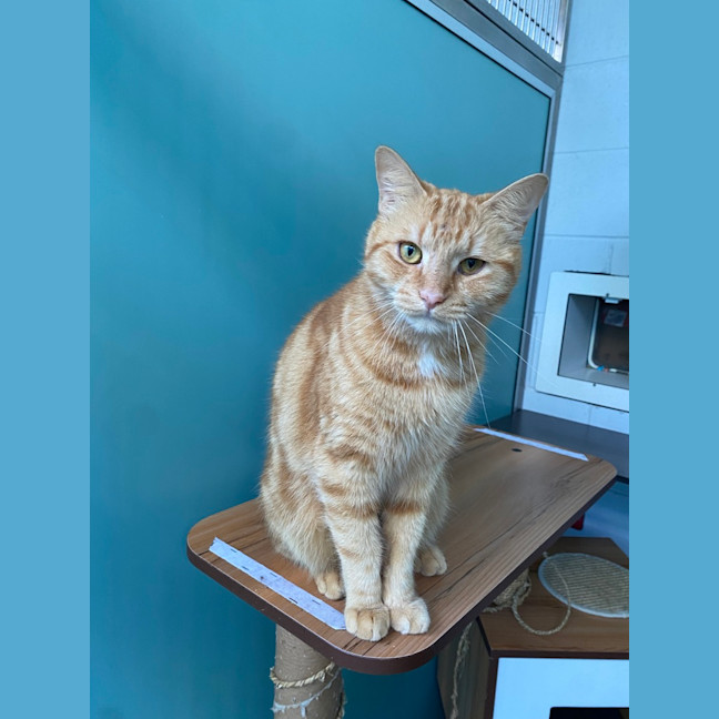 Photo of Fred