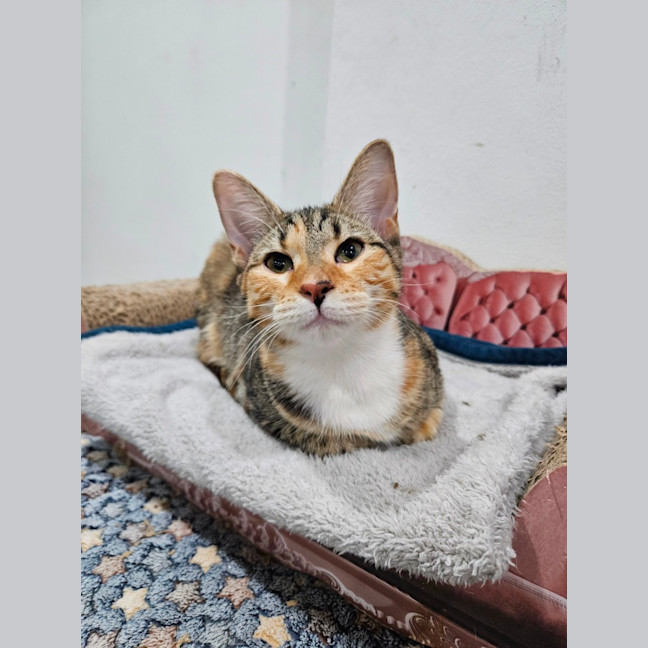 Photo of Pretty Girl