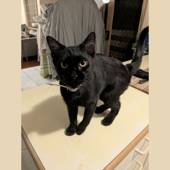 Photo of Tammy