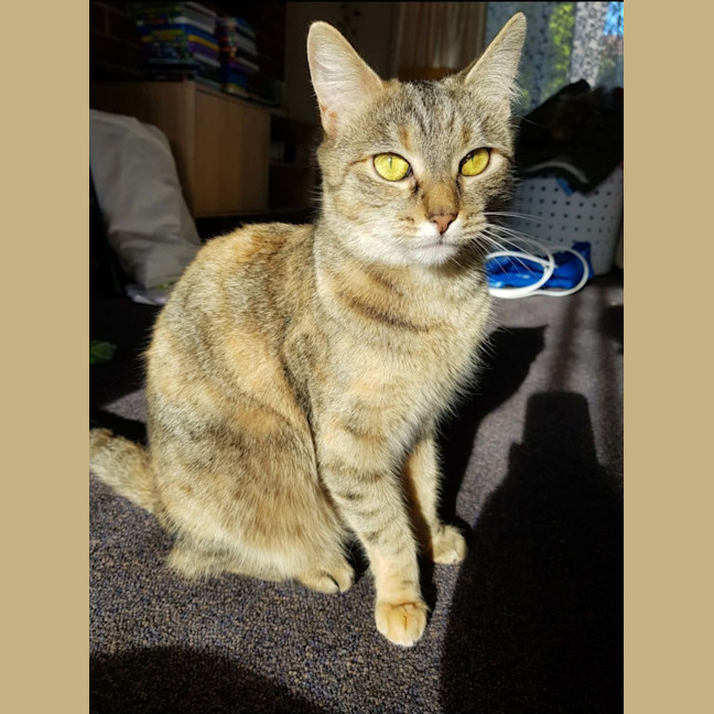 Photo of Maxine