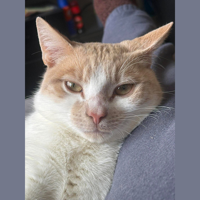 Photo of Barry