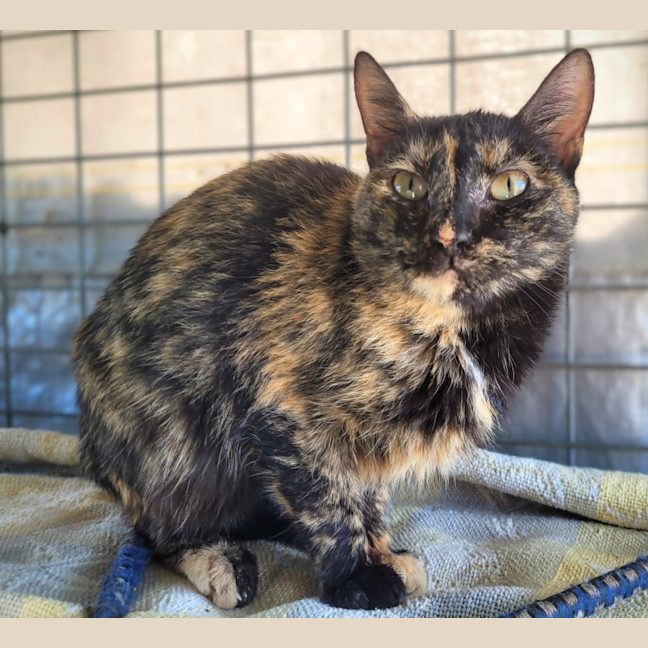 Photo of Annie 