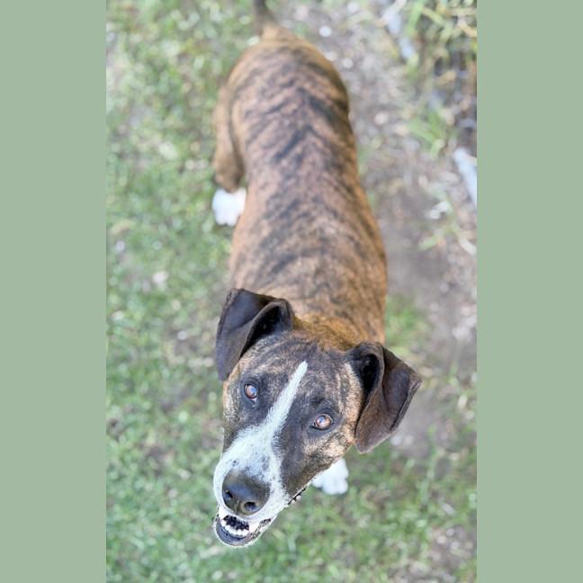 Photo of Xena