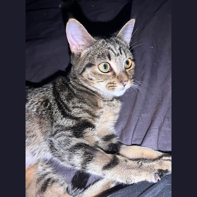Photo of Peeka