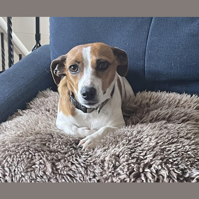 Photo of Daisy Kumara