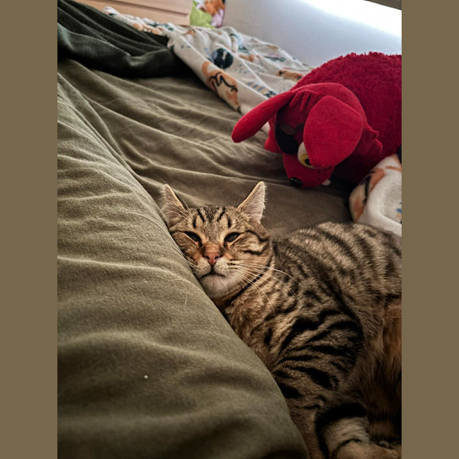 Photo of Wilder