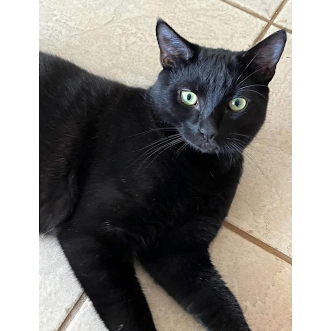 Photo of 12544   Monty