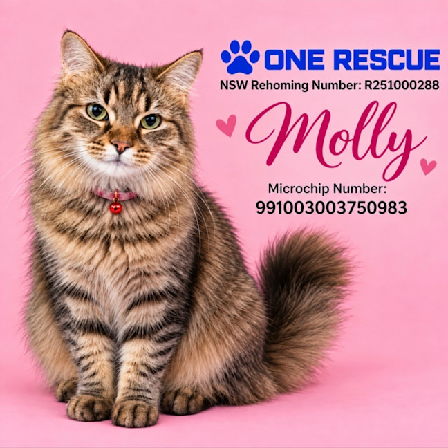 Photo of Molly