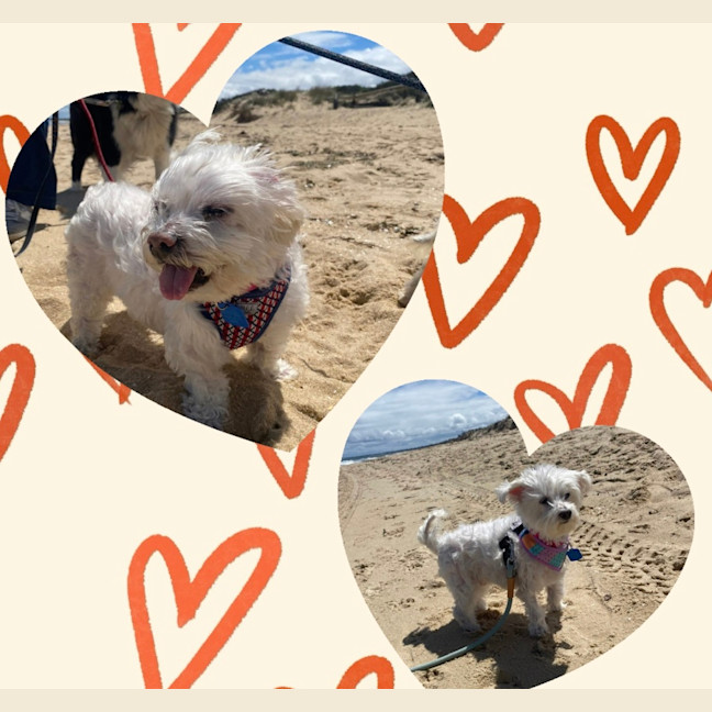 Photo of Ellie And Lulu