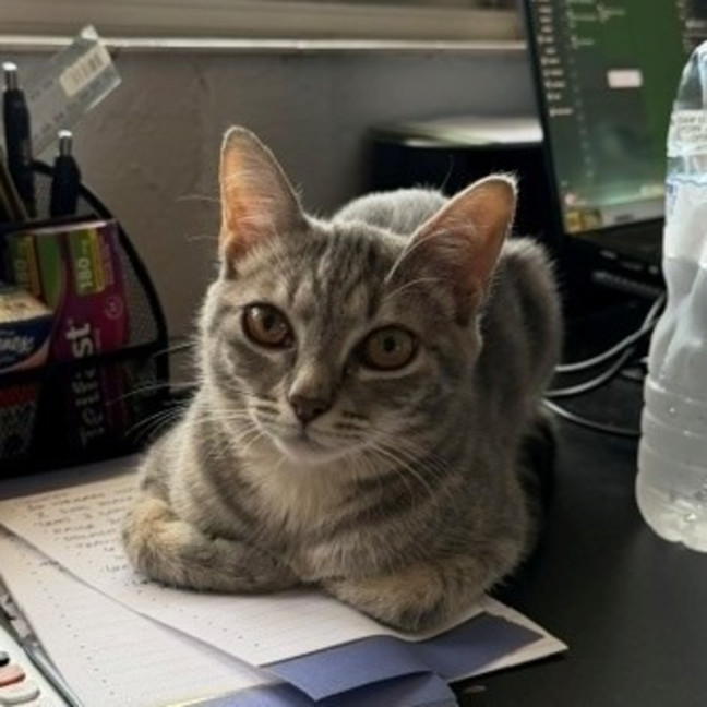 Photo of Hazel