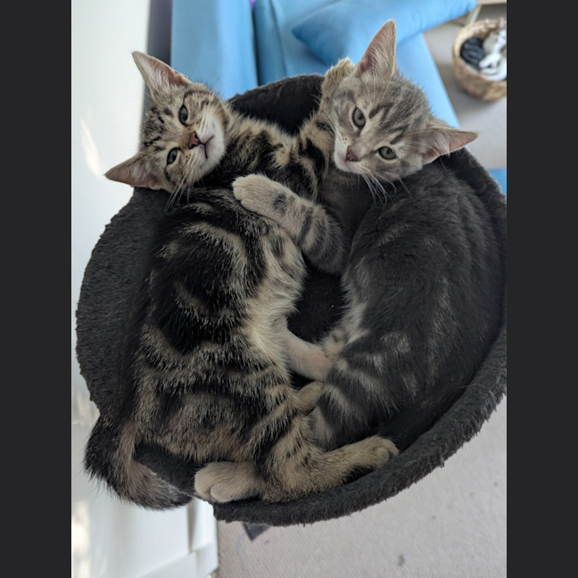 Photo of Maya Scotty