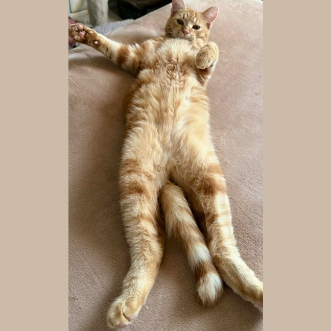 Photo of Jack