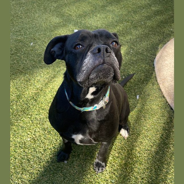 Photo of Xena