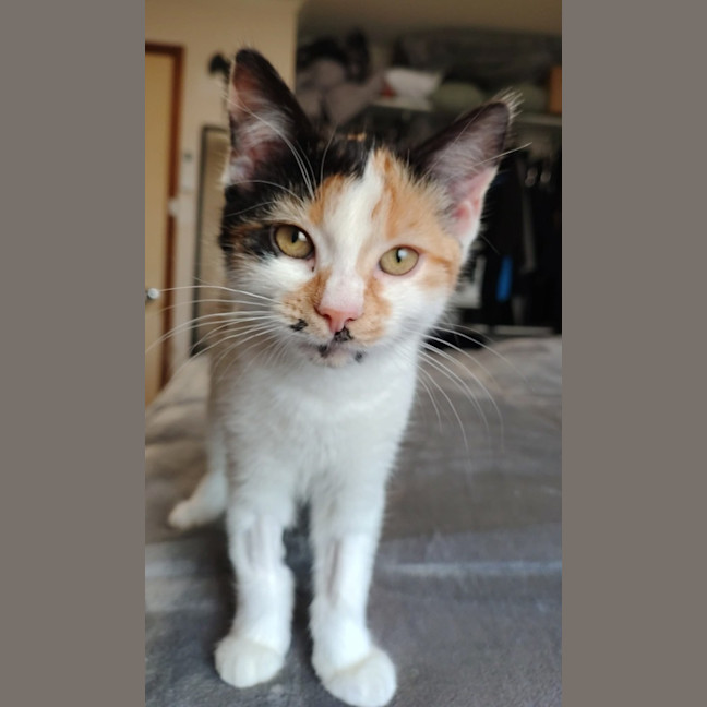 Photo of Leeloo