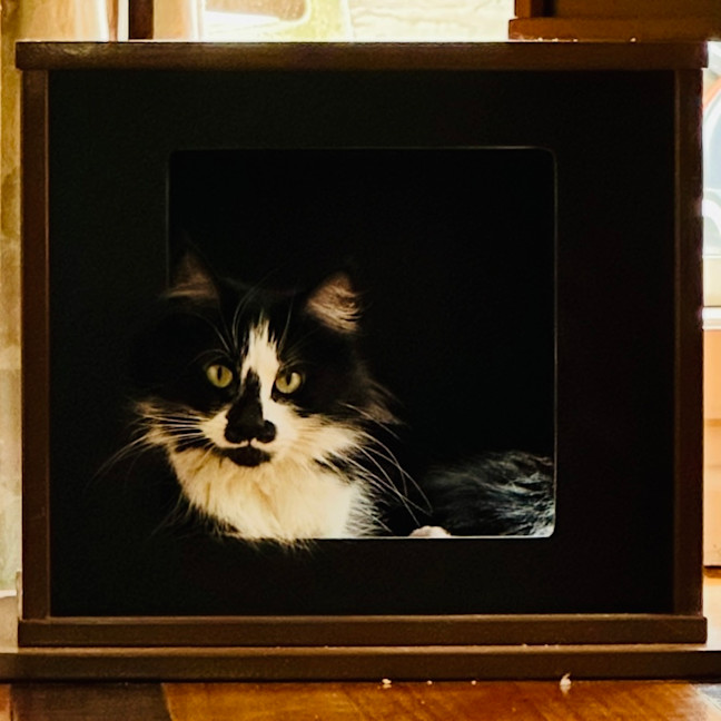 Photo of Bonnie
