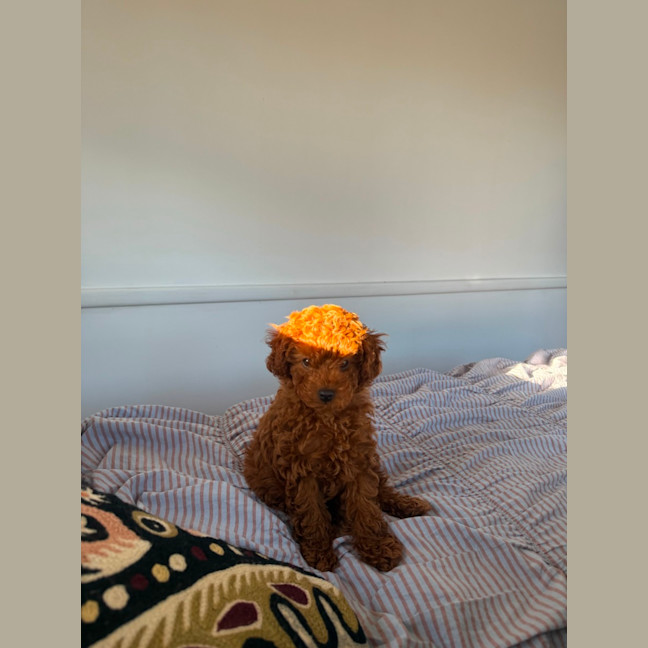 Photo of Tabitha