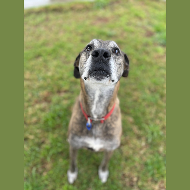 Photo of Princess Daisy 