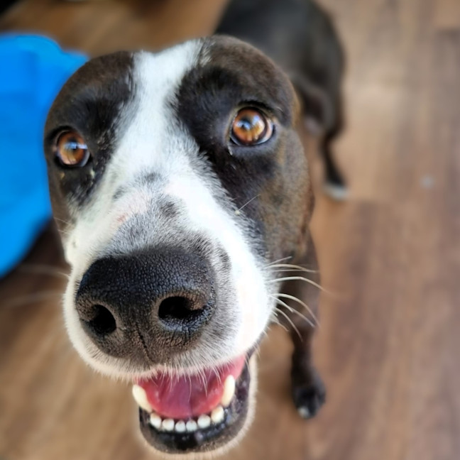 Photo of Maggie