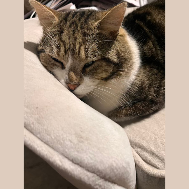 Photo of Charlie