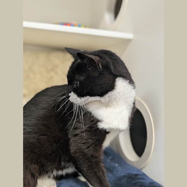 Photo of Postman Pat