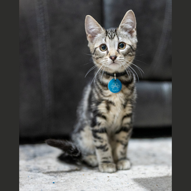 Photo of Reuben