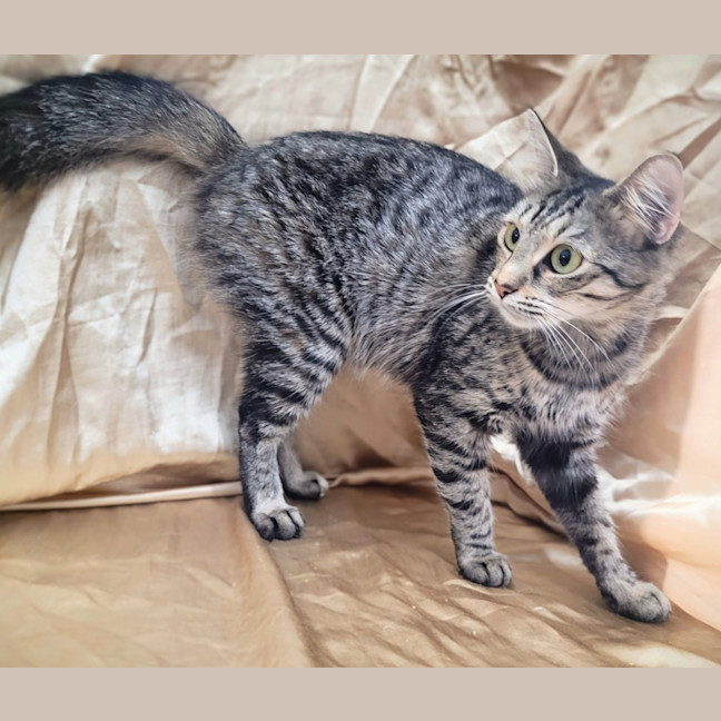 Photo of Audrey 🌺