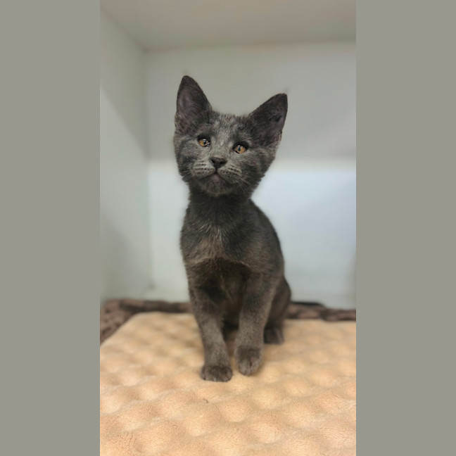 Photo of Wiggles